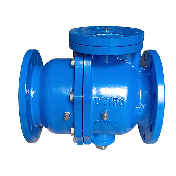 DMPDH741X reverse flow preventer