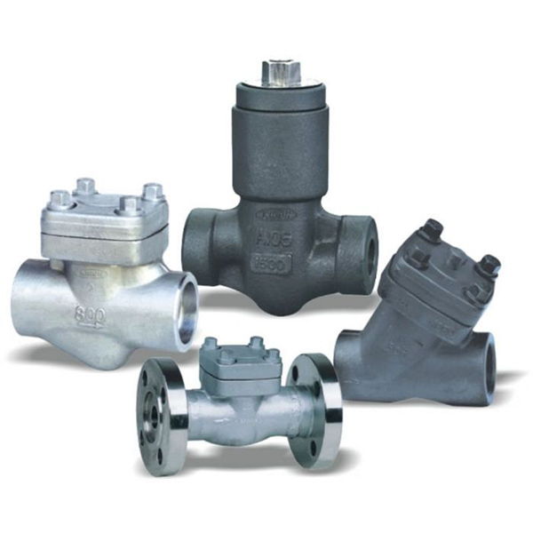 Forged steel check valve